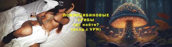 ешки Михайловск