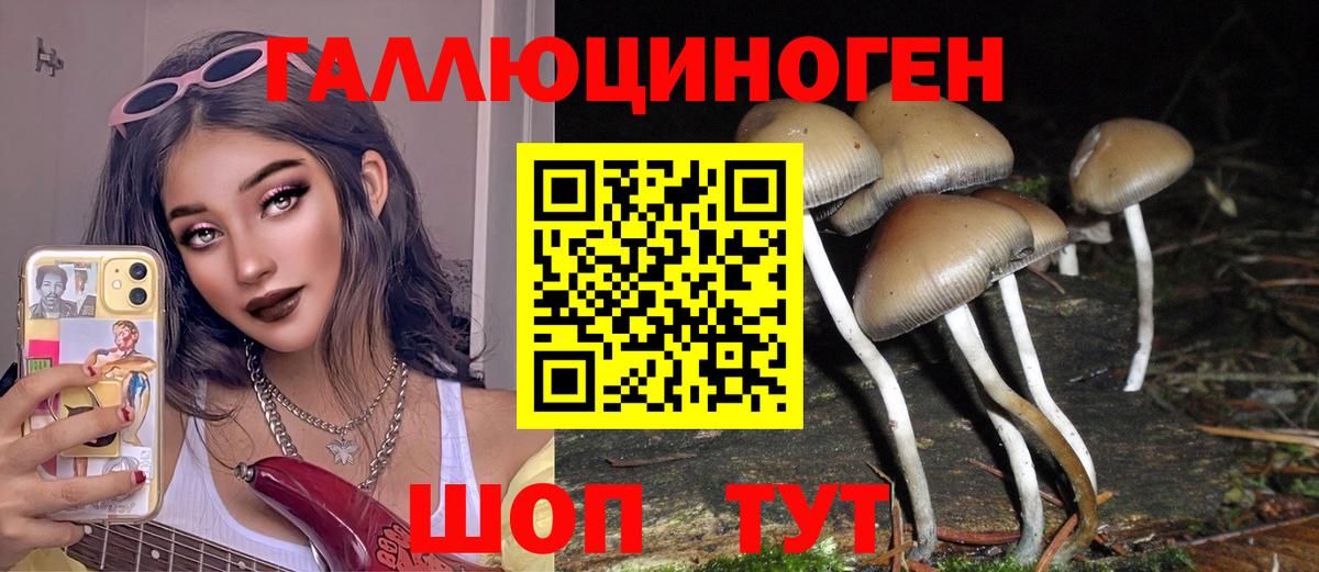 Псилоцибиновые грибы прущие грибы Челябинск