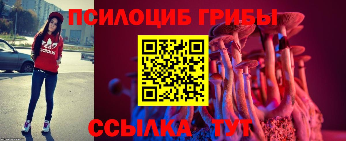Челябинск  Галлюциногенные грибы Magic Shrooms  купить   Псилоцибиновые грибы мицелий  Вход с VPN 